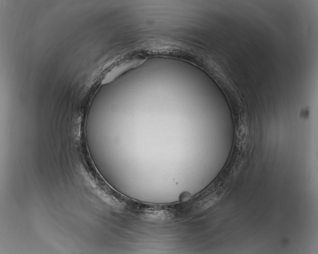 X0000115790454200911271231