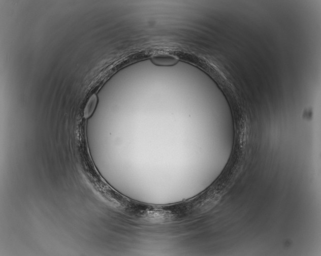 X0000115790455200911271231