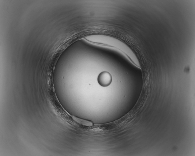 X0000115790456200911271231