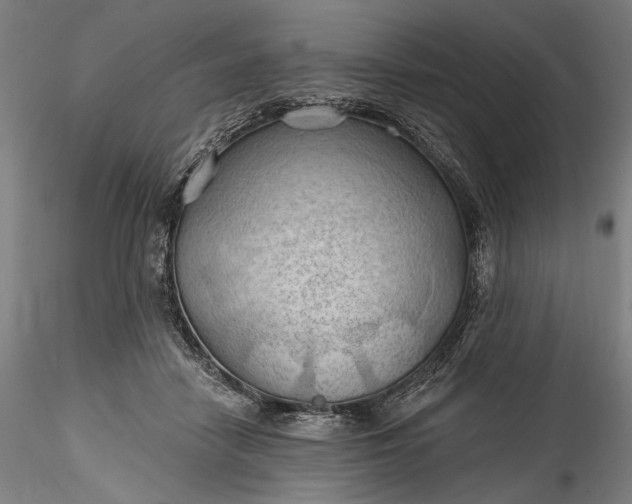 X0000115790458200911271231