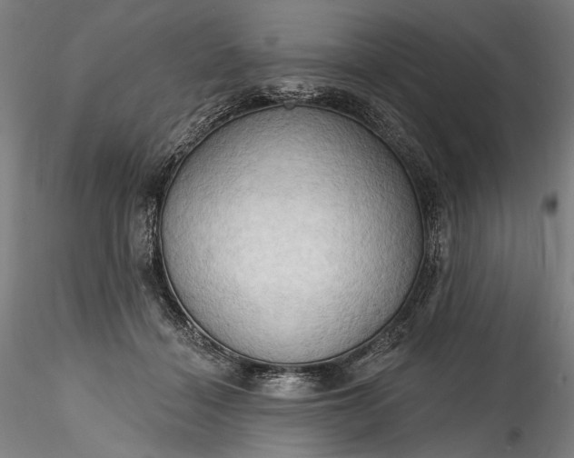 X0000115790460200911271231