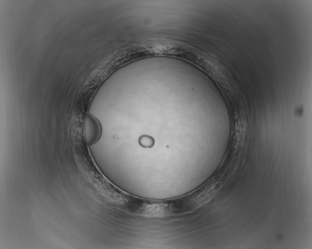 X0000115790461200911271231