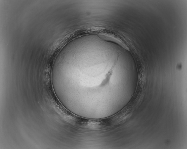 X0000115790462200911271231