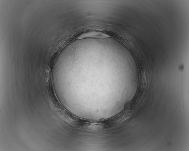 X0000115790463200911271231