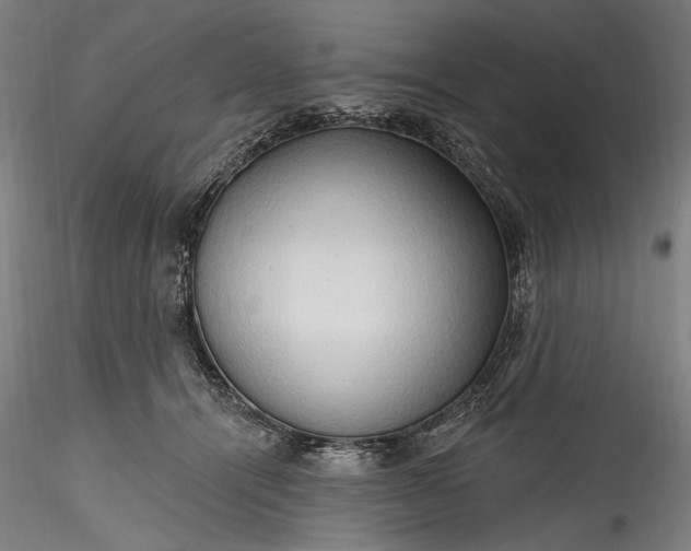 X0000115790464200911271231