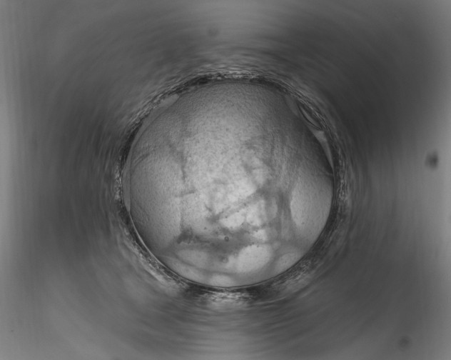 X0000115790465200911271231