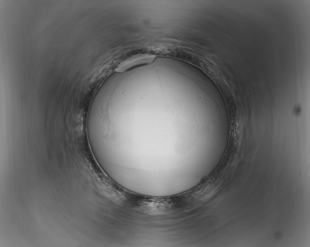 X0000115790466200911271231