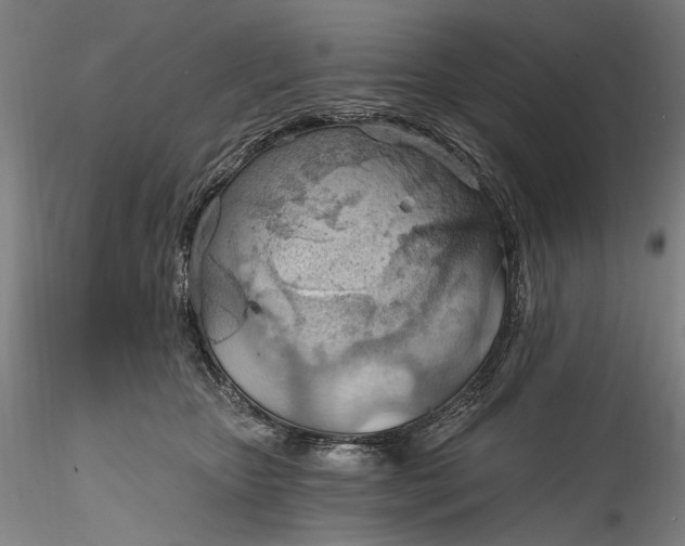 X0000115790467200911271231