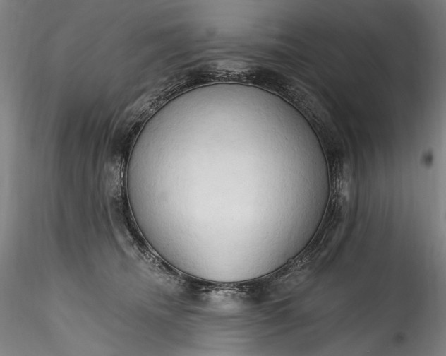 X0000115790468200911271231