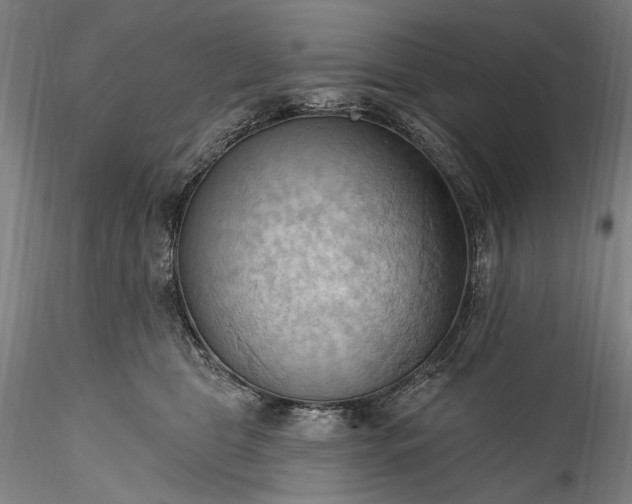 X0000115790469200911271231