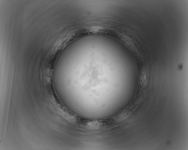 X0000115790470200911271231