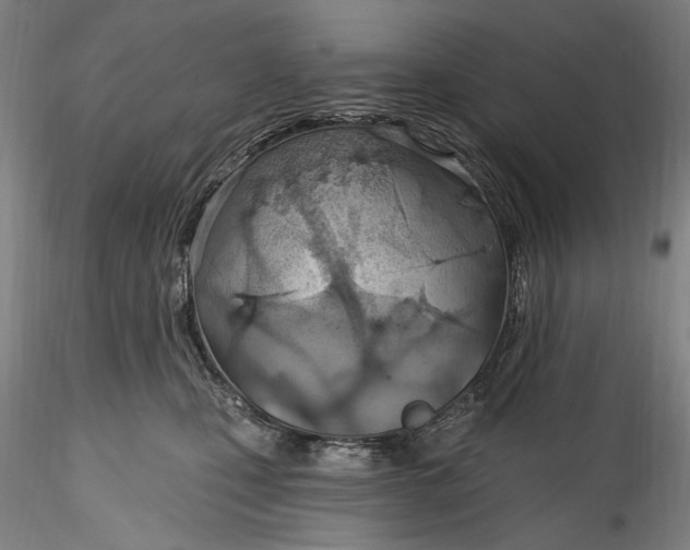 X0000115790471200911271231