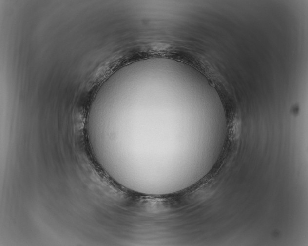 X0000115790472200911271231