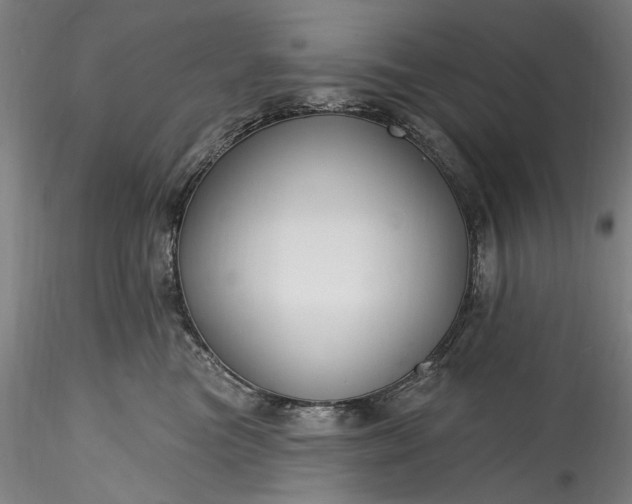 X0000115790473200911271231