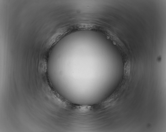 X0000115790474200911271231