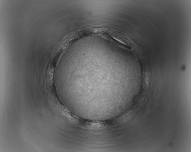 X0000115790475200911271231