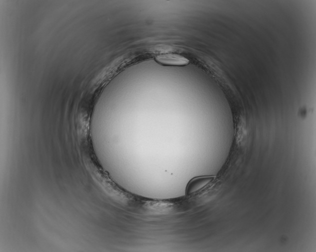 X0000115790476200911271231