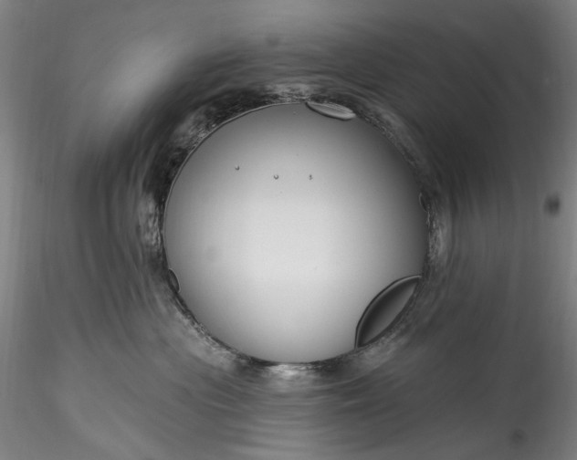 X0000115790477200911271231