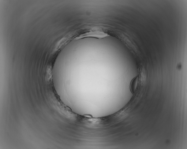 X0000115790478200911271231