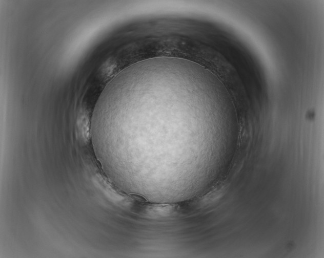 X0000115790479200911271231