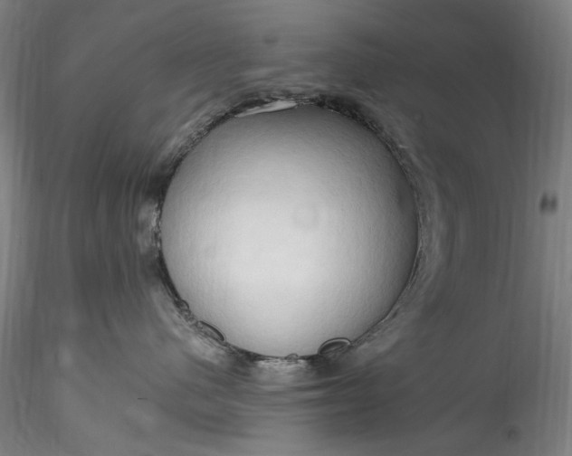 X0000115790480200911271231