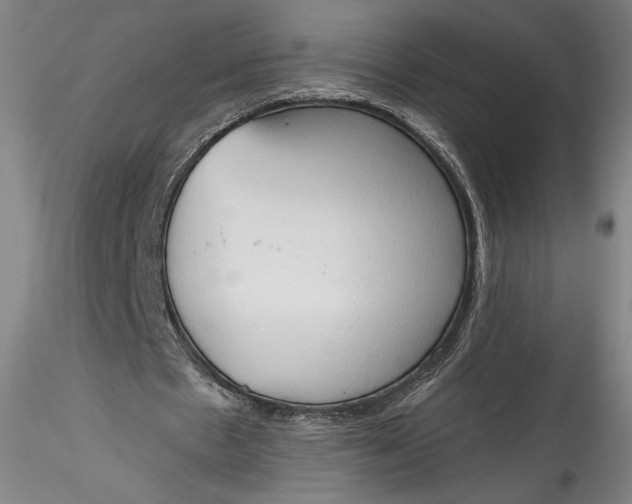 X0000115790481200911271230