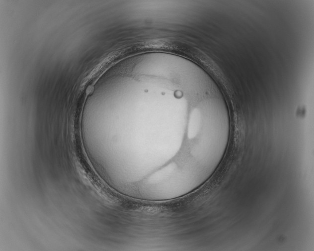 X0000115790482200911271230