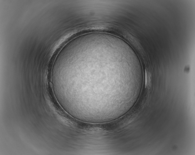 X0000115790483200911271230