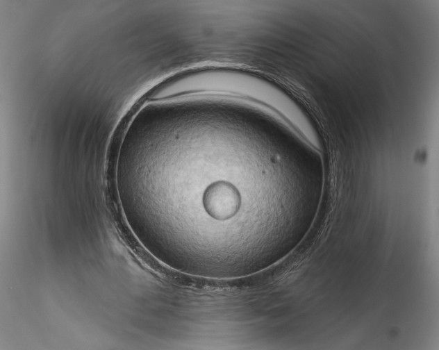 X0000115790484200911271230