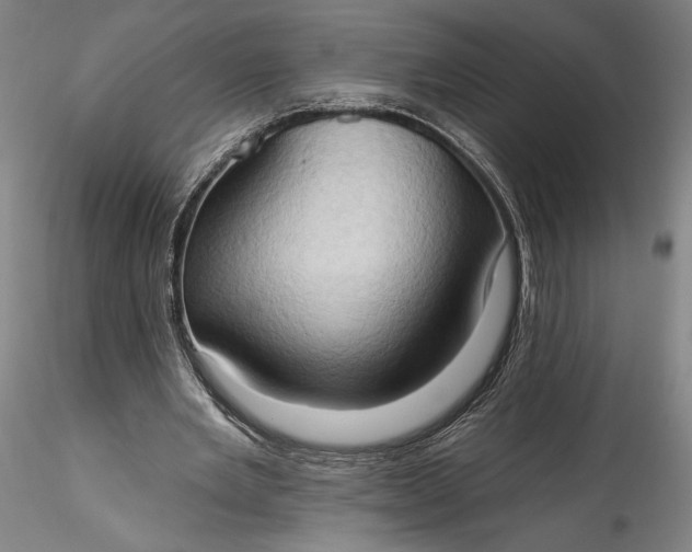 X0000115790485200911271230