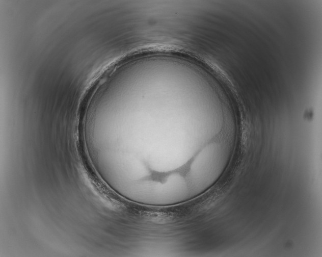 X0000115790486200911271230