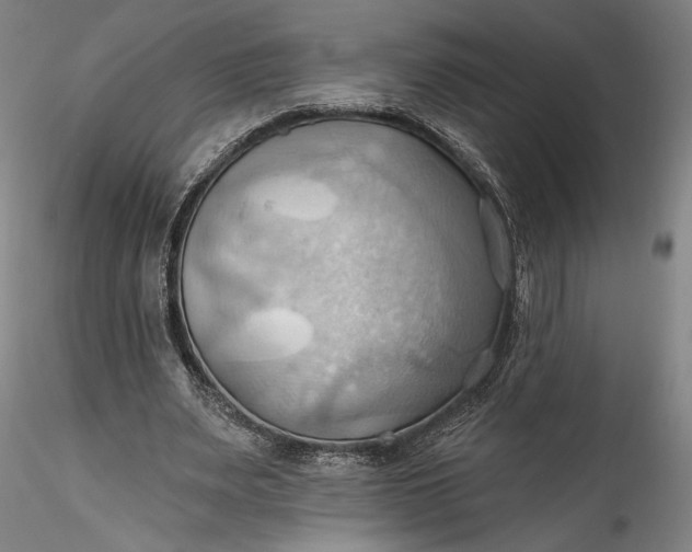 X0000115790487200911271230