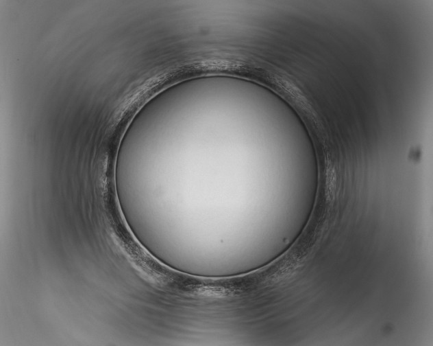 X0000115790490200911271230