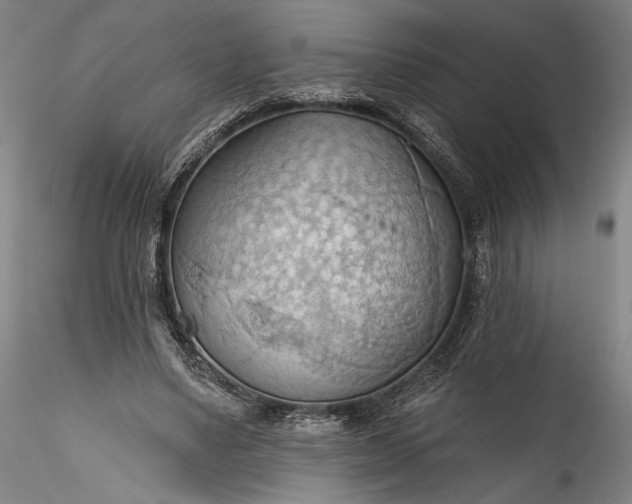 X0000115790491200911271230