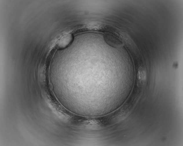 X0000115790492200911271230