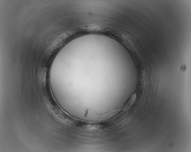 X0000115790495200911271230