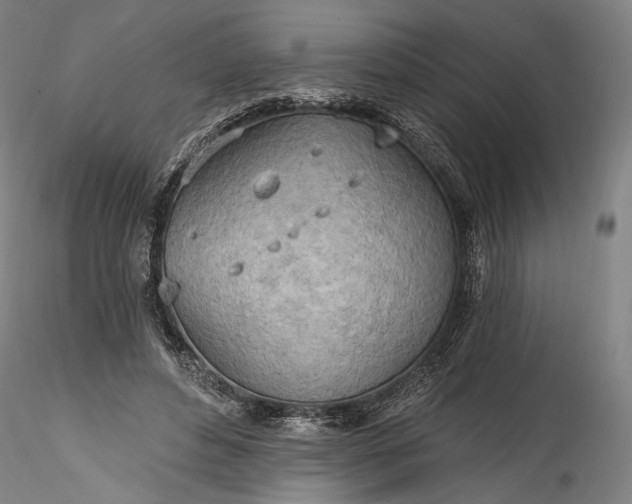 X0000115790496200911271230