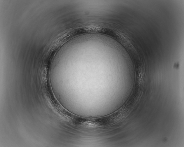 X0000115790498200911271230