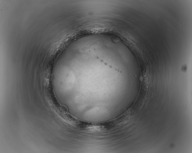 X0000115790499200911271230