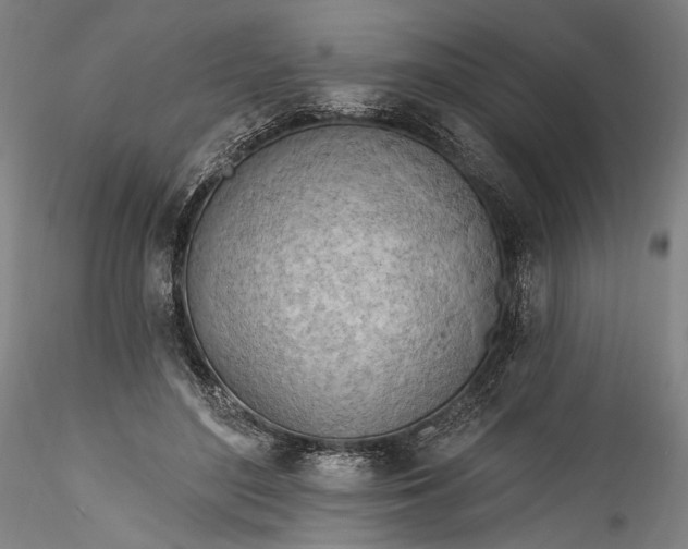 X0000115790500200911271230