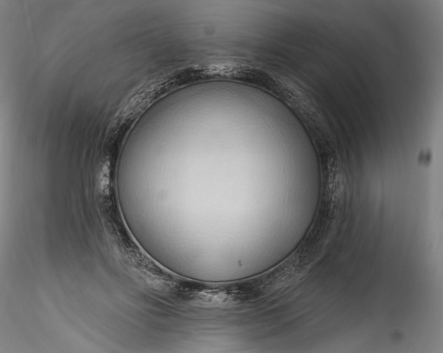 X0000115790502200911271230