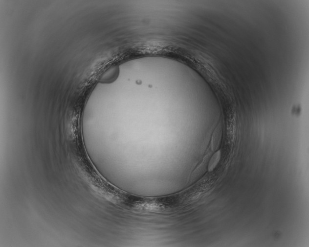 X0000115790503200911271230