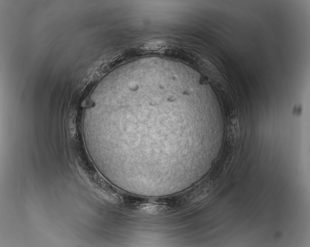 X0000115790504200911271230