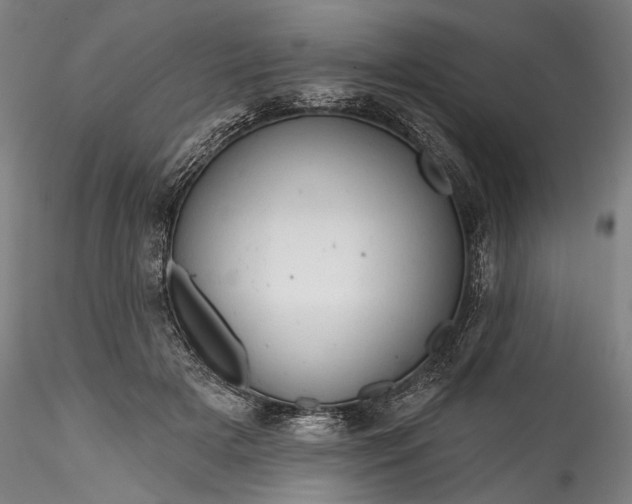 X0000115790505200911271230