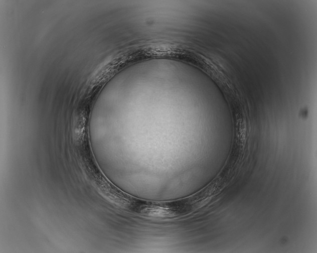 X0000115790507200911271230