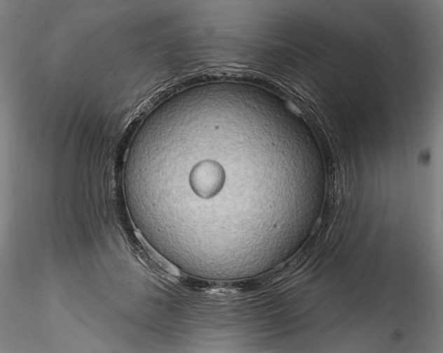 X0000115790508200911271230