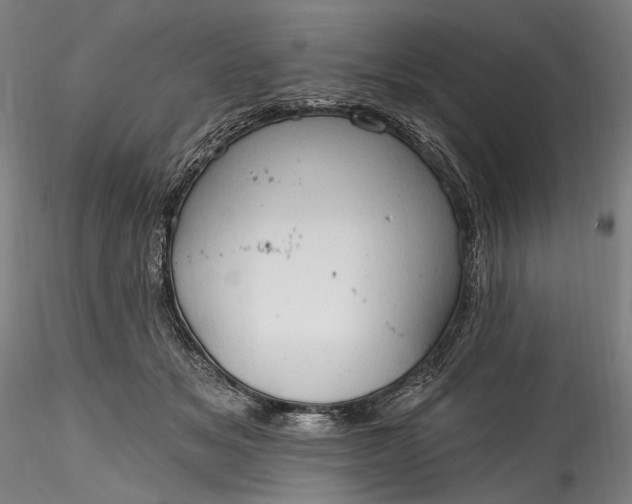 X0000115790509200911271230