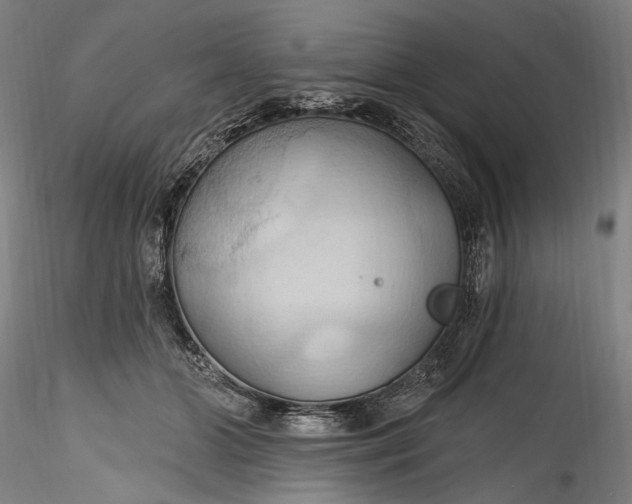 X0000115790510200911271230