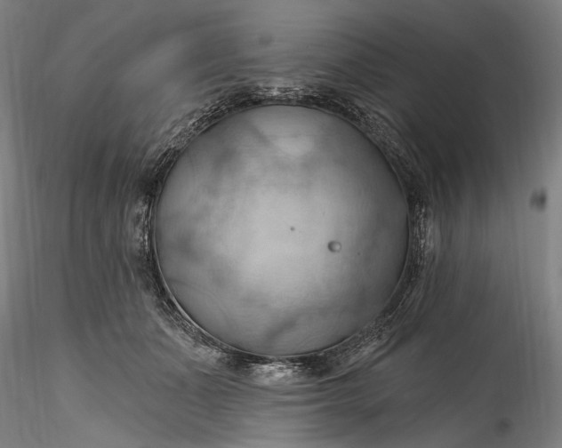 X0000115790511200911271230