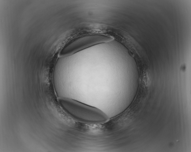 X0000115790512200911271230